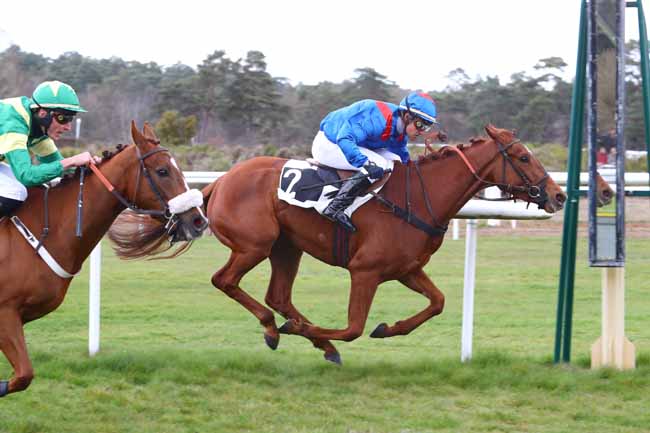 Photo d'arrivée de la course pmu PRIX DE LA TILLAIE à FONTAINEBLEAU le Mercredi 3 avril 2019