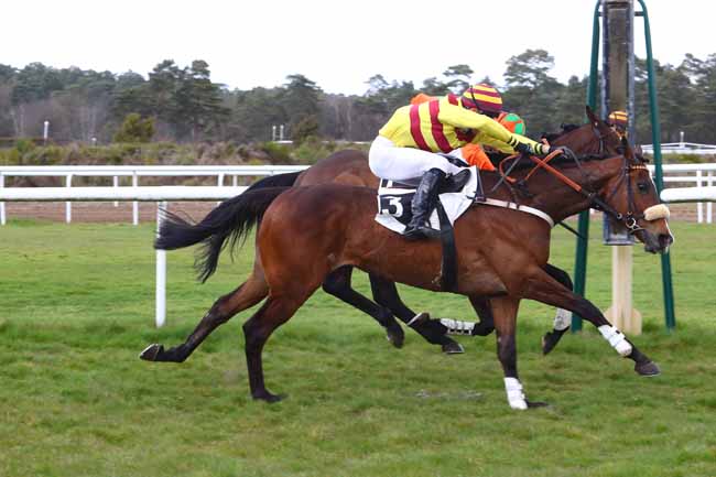 Photo d'arrivée de la course pmu PRIX THIERRY CLEMENT à FONTAINEBLEAU le Mercredi 3 avril 2019