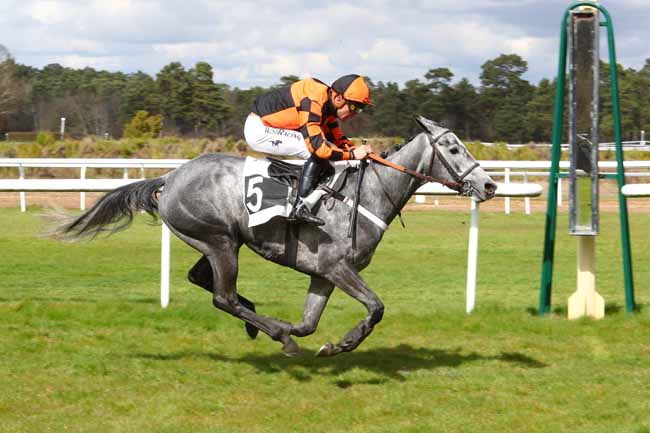 Photo d'arrivée de la course pmu PRIX DE LA MARE AUX COULEUVRES à FONTAINEBLEAU le Mercredi 3 avril 2019