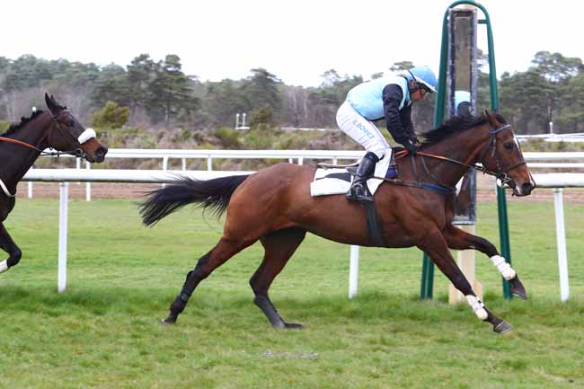 Photo d'arrivée de la course pmu PRIX DE LA CROIX DE SAINT-HEREM à FONTAINEBLEAU le Mercredi 3 avril 2019