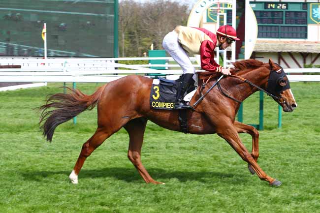 Photo d'arrivée de la course pmu PRIX DE RESSONS-SUR-MATZ à COMPIEGNE le Vendredi 5 avril 2019