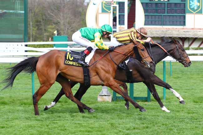 Photo d'arrivée de la course pmu PRIX DU VERMANDOIS à COMPIEGNE le Vendredi 5 avril 2019