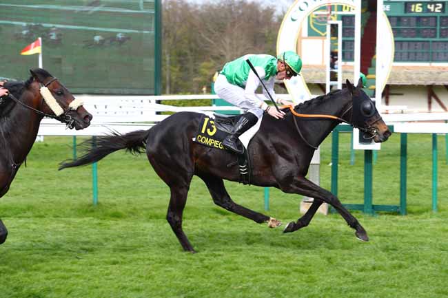 Photo d'arrivée de la course pmu PRIX DU PALAIS IMPERIAL à COMPIEGNE le Vendredi 5 avril 2019