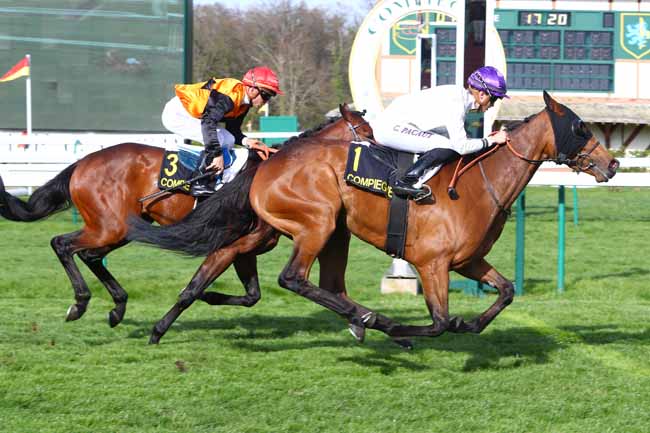 Photo d'arrivée de la course pmu PRIX DE CLERMONT-DE-L'OISE à COMPIEGNE le Vendredi 5 avril 2019