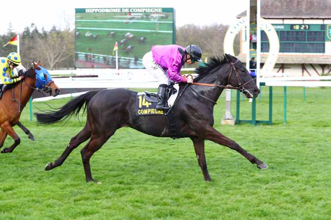 Photo d'arrivée de la course pmu PRIX DU THEATRE IMPERIAL à COMPIEGNE le Vendredi 5 avril 2019