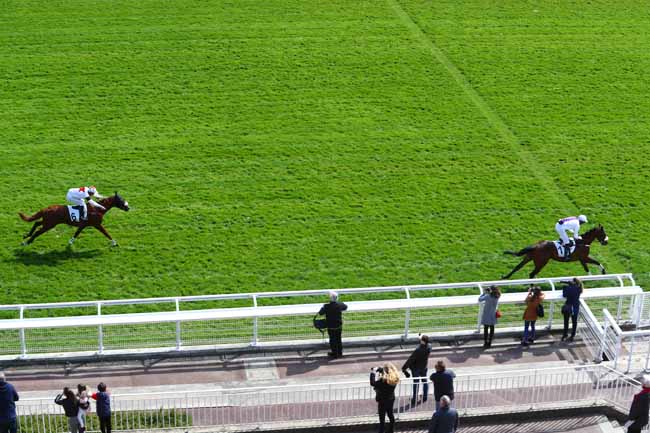 Photo d'arrivée de la course pmu PRIX CHAMPAUBERT à AUTEUIL le Samedi 6 avril 2019