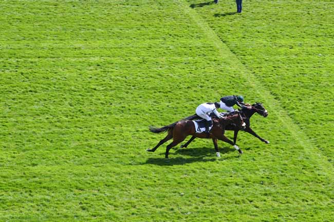 Photo d'arrivée de la course pmu PRIX TURCO à AUTEUIL le Samedi 6 avril 2019