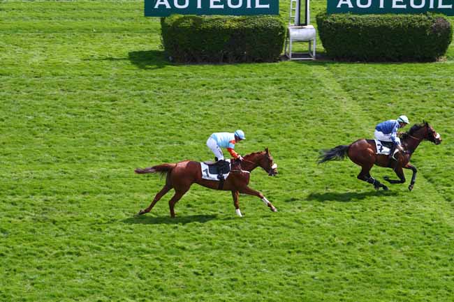 Photo d'arrivée de la course pmu PRIX ALEC CARTER à AUTEUIL le Samedi 6 avril 2019