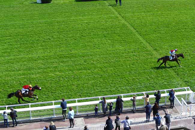 Photo d'arrivée de la course pmu PRIX DE PEPINVAST à AUTEUIL le Samedi 6 avril 2019