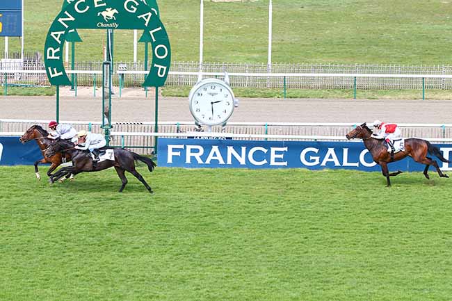 Photo d'arrivée de la course pmu PRIX DU BOIS RENARD à CHANTILLY le Lundi 8 avril 2019
