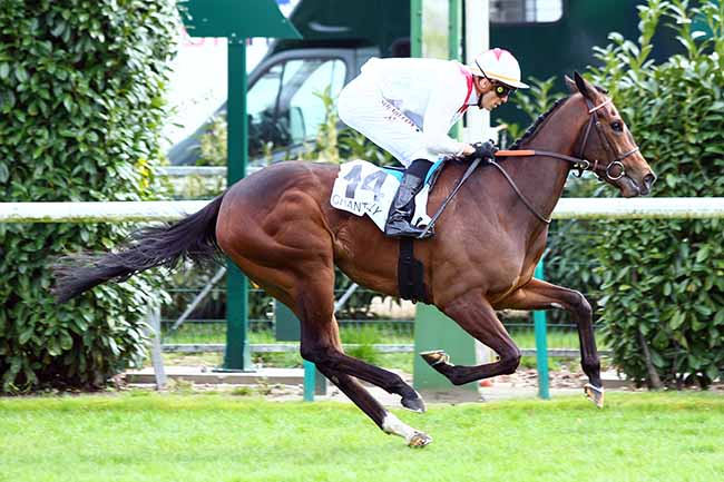 Photo d'arrivée de la course pmu PRIX DU PREMIER PAS à CHANTILLY le Lundi 8 avril 2019