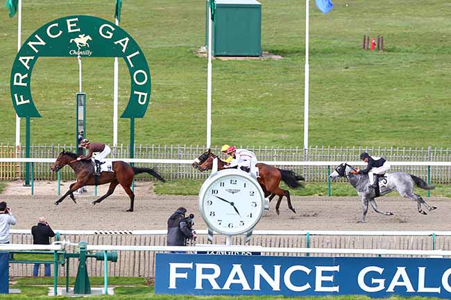 Photo d'arrivée de la course pmu PRIX DU BOIS DES BOULEAUX à CHANTILLY le Lundi 8 avril 2019