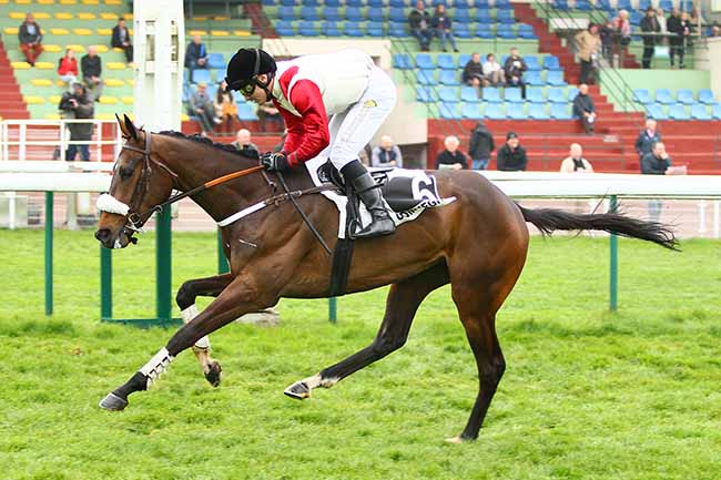 Photo d'arrivée de la course pmu PRIX DU BREVENT à COMPIEGNE le Mardi 9 avril 2019