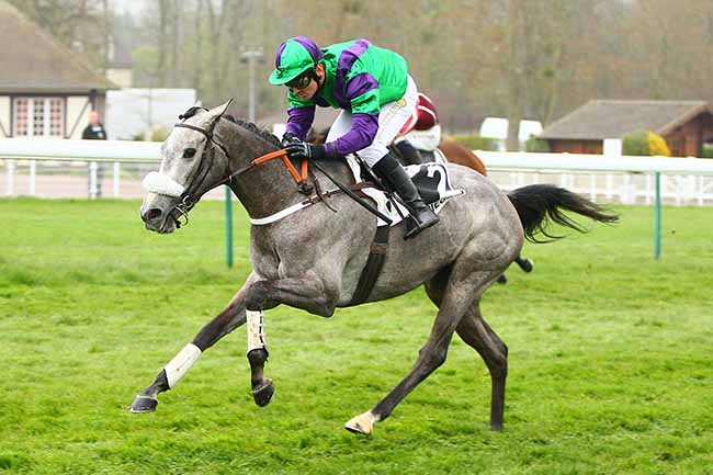 Photo d'arrivée de la course pmu PRIX DU FINISTERE à COMPIEGNE le Mardi 9 avril 2019