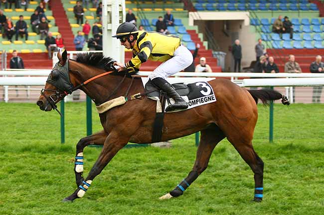 Photo d'arrivée de la course pmu PRIX DE L'ILE DE RE à COMPIEGNE le Mardi 9 avril 2019