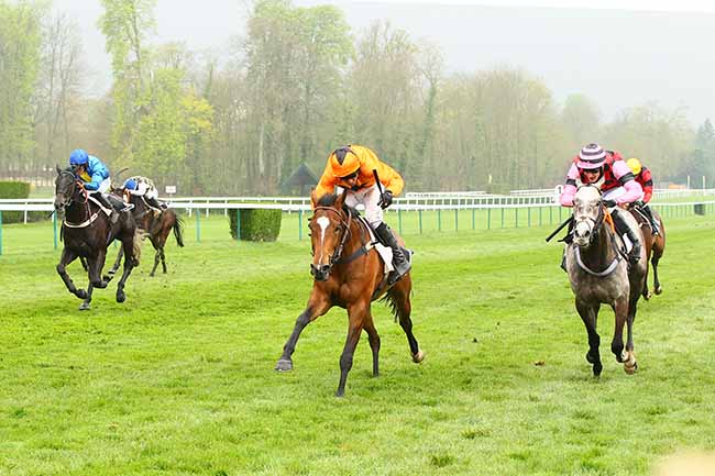 Photo d'arrivée de la course pmu PRIX BOG FROG à COMPIEGNE le Mardi 9 avril 2019