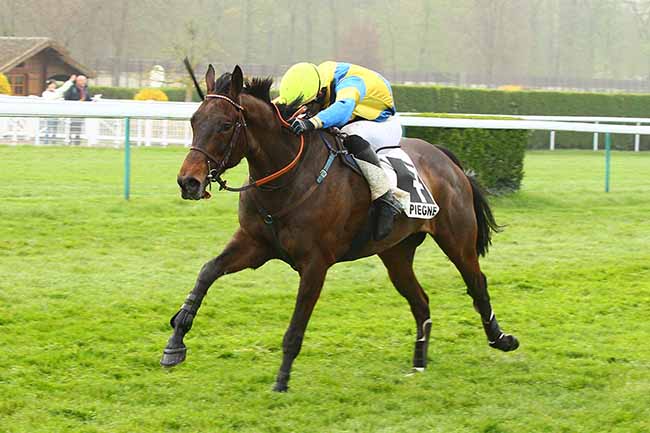 Photo d'arrivée de la course pmu PRIX JACQUES DE VIENNE à COMPIEGNE le Mardi 9 avril 2019