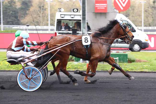 Photo d'arrivée de la course pmu PRIX DOROPHEA à PARIS-VINCENNES le Mardi 9 avril 2019