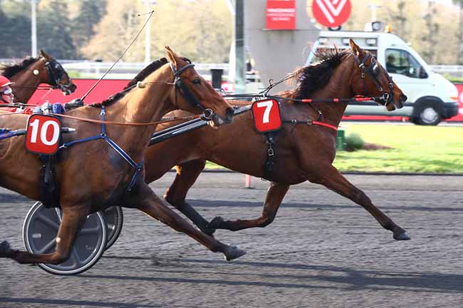 Photo d'arrivée de la course pmu PRIX BAVARIA à PARIS-VINCENNES le Mardi 9 avril 2019
