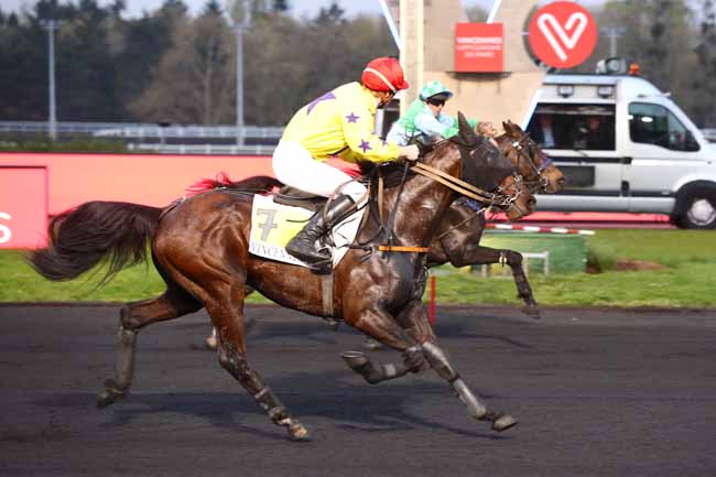Photo d'arrivée de la course pmu PRIX BAMBERGA à PARIS-VINCENNES le Mardi 9 avril 2019