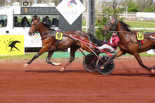 Photo d'arrivée de la course pmu GRAND NATIONAL DU TROT PARIS-TURF à LYON LA SOIE le Mercredi 10 avril 2019