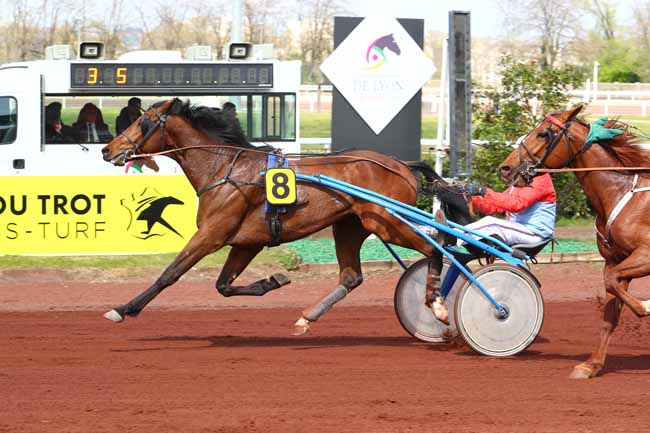 Photo d'arrivée de la course pmu PRIX DE BORDEAUX à LYON LA SOIE le Mercredi 10 avril 2019