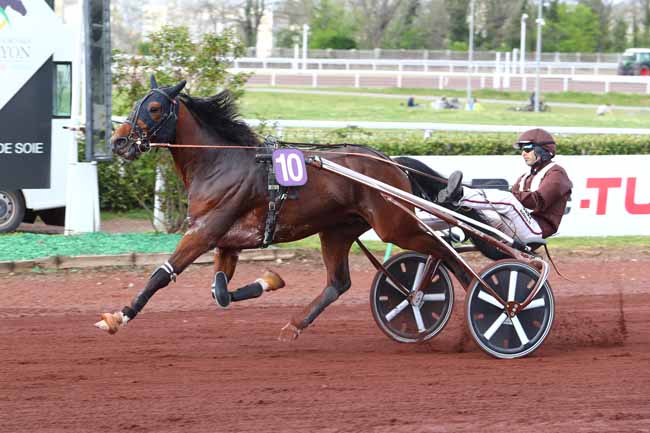 Photo d'arrivée de la course pmu PRIX HENRI CALLIER à LYON LA SOIE le Mercredi 10 avril 2019