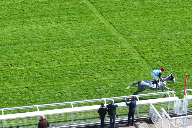 Photo d'arrivée de la course pmu PRIX DE BORELY à AUTEUIL le Jeudi 11 avril 2019