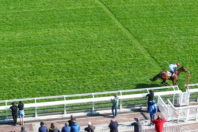 Photo d'arrivée de la course pmu PRIX OTEUIL SF à AUTEUIL le Jeudi 11 avril 2019