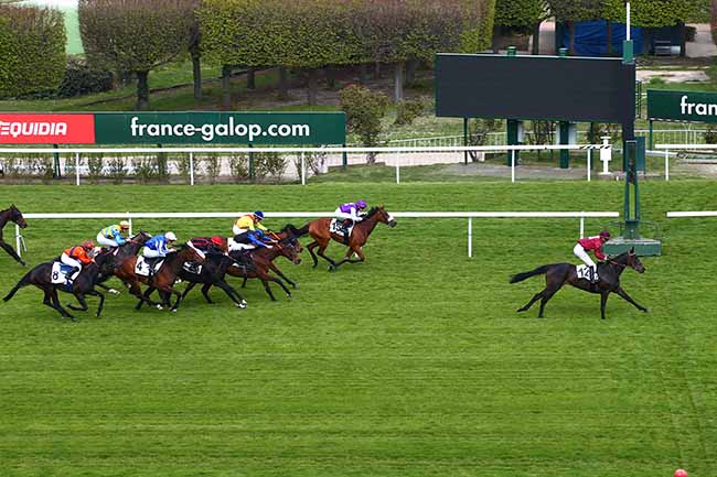 Photo d'arrivée de la course pmu PRIX MABEAUTE à SAINT-CLOUD le Vendredi 12 avril 2019