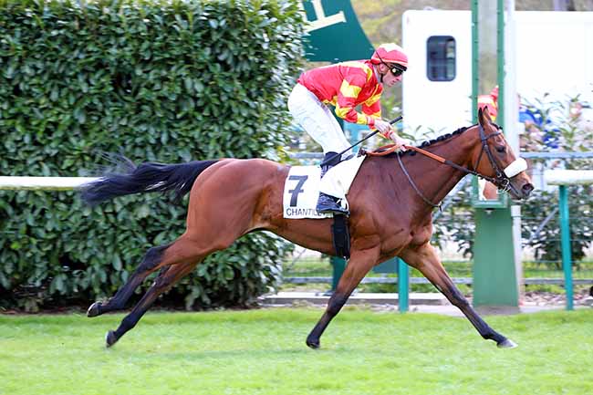 Photo d'arrivée de la course pmu PRIX SIGY à CHANTILLY le Samedi 13 avril 2019