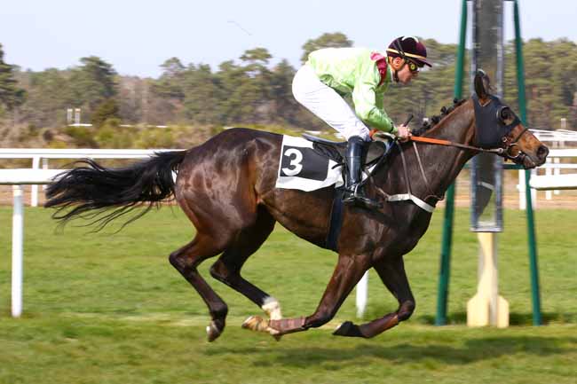 Photo d'arrivée de la course pmu PRIX DU NIVERNAIS à FONTAINEBLEAU le Dimanche 14 avril 2019