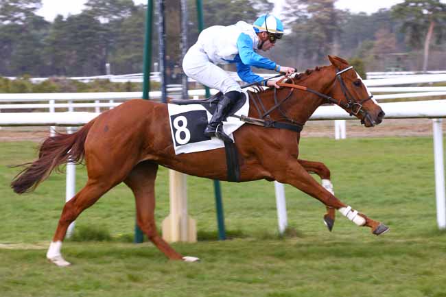 Photo d'arrivée de la course pmu PRIX DU PIN à FONTAINEBLEAU le Dimanche 14 avril 2019