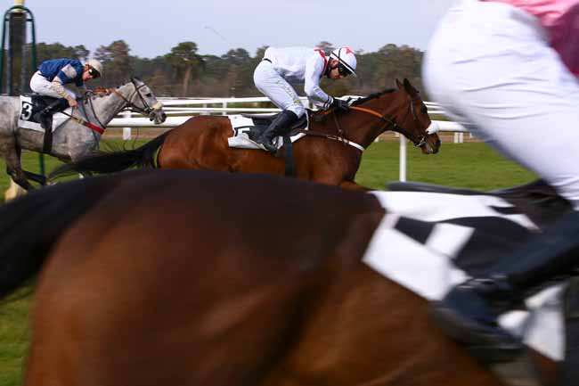 Photo d'arrivée de la course pmu PRIX DES ACACIAS à FONTAINEBLEAU le Dimanche 14 avril 2019