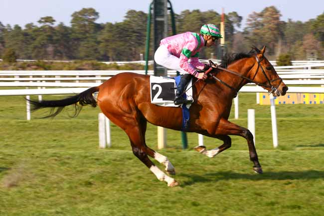 Photo d'arrivée de la course pmu PRIX DE GENNETINES à FONTAINEBLEAU le Dimanche 14 avril 2019