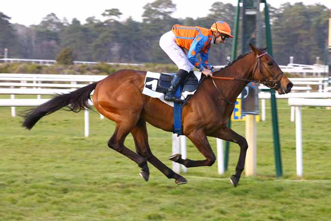 Photo d'arrivée de la course pmu PRIX DE MESSARGES à FONTAINEBLEAU le Dimanche 14 avril 2019