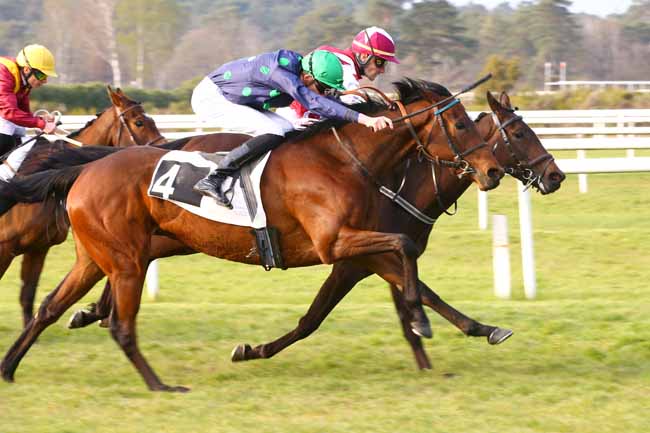 Photo d'arrivée de la course pmu PRIX D'AUVERGNE à FONTAINEBLEAU le Dimanche 14 avril 2019