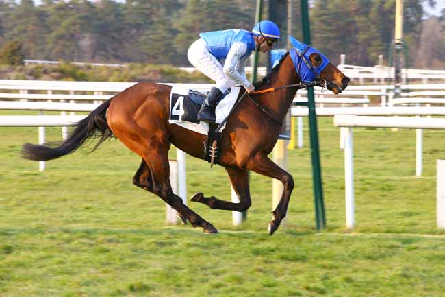 Photo d'arrivée de la course pmu PRIX DES SOUPIRS à FONTAINEBLEAU le Dimanche 14 avril 2019