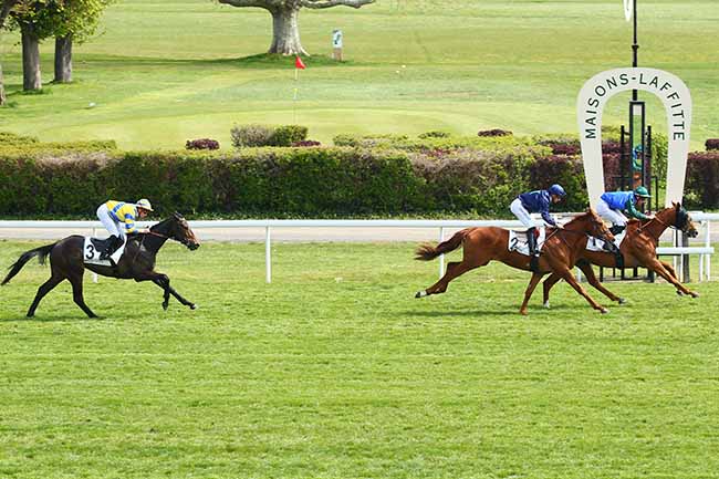 Photo d'arrivée de la course pmu PRIX DE GRIGNON à MAISONS-LAFFITTE le Lundi 15 avril 2019