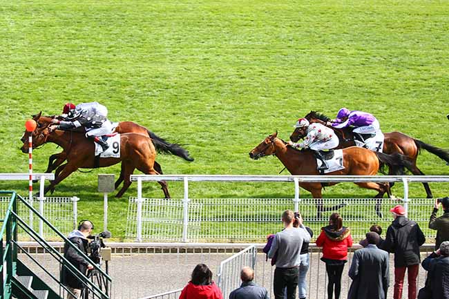 Photo d'arrivée de la course pmu PRIX MINCIO à MAISONS-LAFFITTE le Lundi 15 avril 2019