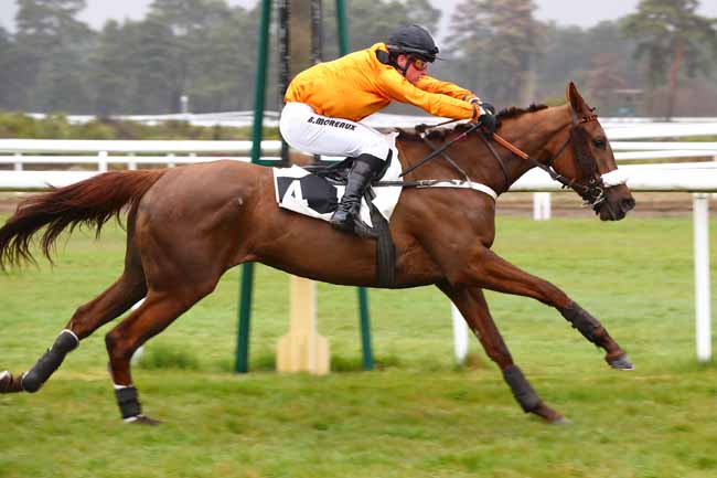 Photo d'arrivée de la course pmu PRIX DE LA TOUR DENECOURT à FONTAINEBLEAU le Mardi 16 avril 2019