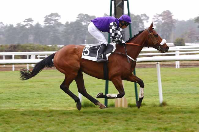 Photo d'arrivée de la course pmu PRIX DE LA MARE A PIAT à FONTAINEBLEAU le Mardi 16 avril 2019