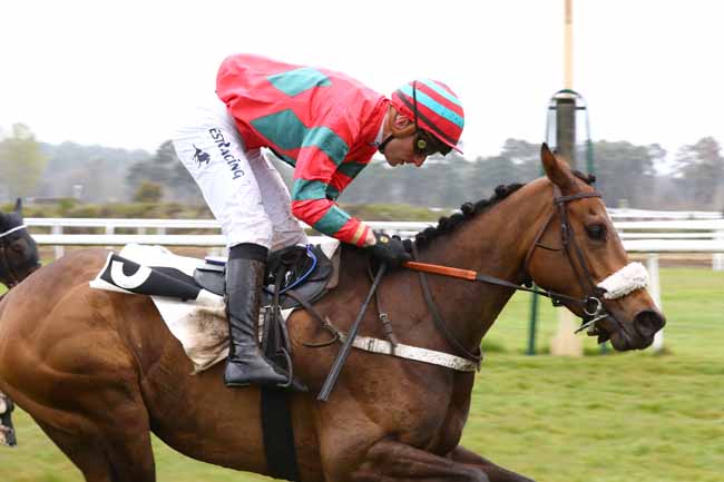 Photo d'arrivée de la course pmu PRIX JEAN PAUL ET PIERRE BERTRAND à FONTAINEBLEAU le Mardi 16 avril 2019