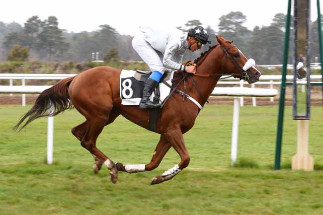 Photo d'arrivée de la course pmu PRIX DU BOIS ROND à FONTAINEBLEAU le Mardi 16 avril 2019