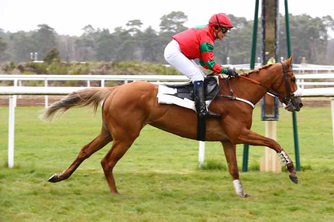 Photo d'arrivée de la course pmu PRIX JEAN JACQUES GUYON à FONTAINEBLEAU le Mardi 16 avril 2019