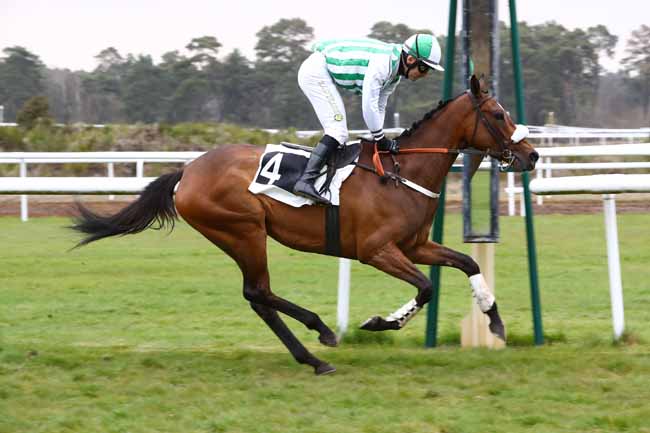 Photo d'arrivée de la course pmu PRIX DE LA SOCIETE DES COURSES DE MOULINS à FONTAINEBLEAU le Mardi 16 avril 2019