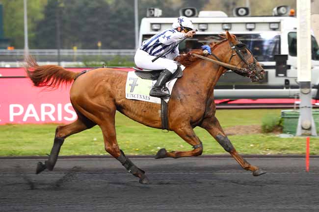Photo d'arrivée de la course pmu PRIX ATHOR à PARIS-VINCENNES le Mardi 16 avril 2019