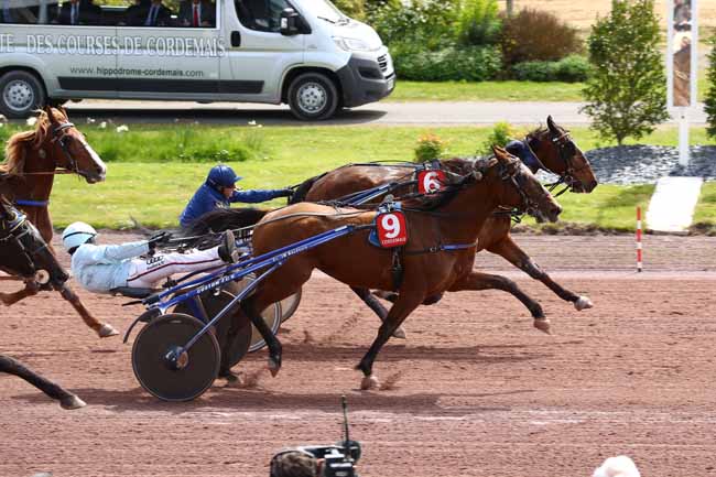 Photo d'arrivée de la course pmu PRIX DE LA VILLE DE CORDEMAIS à CORDEMAIS le Mercredi 17 avril 2019