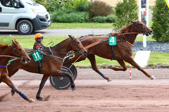 Photo d'arrivée de la course pmu PRIX DE TERRE D'ESTUAIRE à CORDEMAIS le Mercredi 17 avril 2019