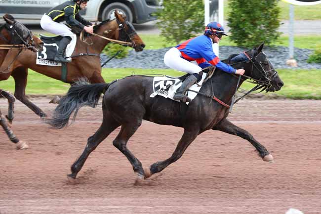 Photo d'arrivée de la course pmu PRIX DE LA VILLE DE MALVILLE à CORDEMAIS le Mercredi 17 avril 2019
